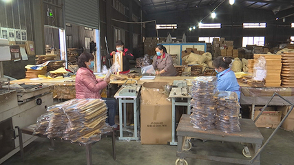 福建武夷山:有序推動企業(yè)復工復產(chǎn)